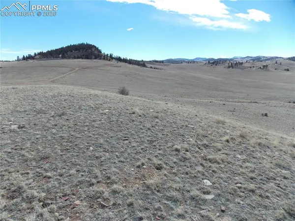 Lot 5795 Guipago TRL, Hartsel, CO 80449