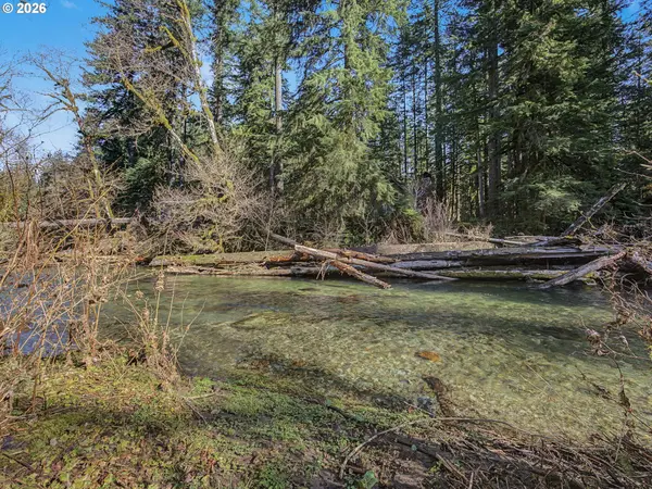 28910 E RD 12 lot 61, Rhododendron, OR 97049