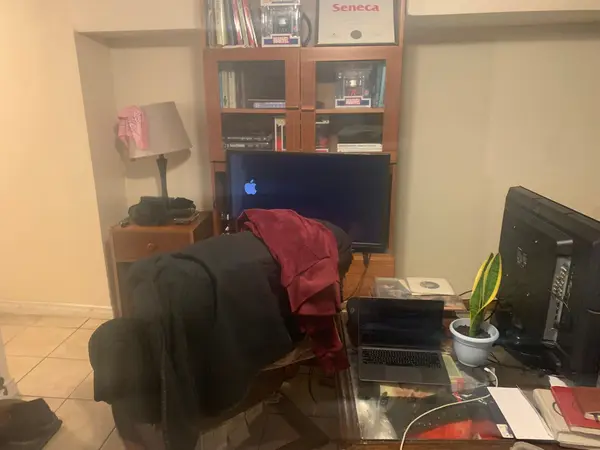 295 Old Weston RD, Toronto W03, ON M6N 3A7