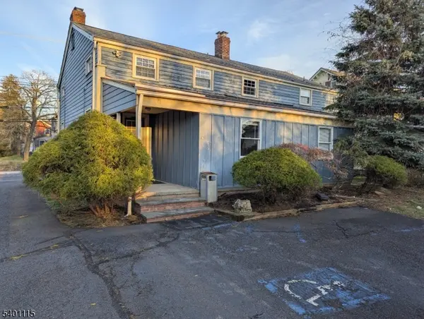 325 Route 202 / 206, Bedminster Twp., NJ 07921