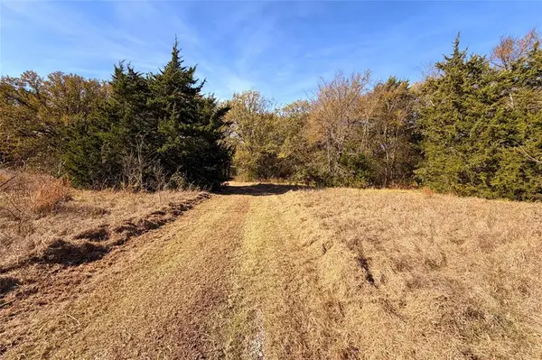 18050 Terrace Drive, Kemp, TX 75143