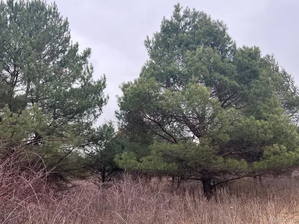 VL Washington ST, Perry, MI 48872