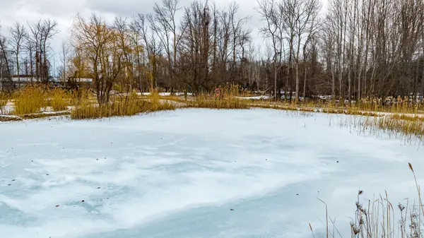 1547 County 42 RD, Clearview, ON L0M 1S0