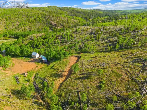 77 Lakeview CIR, Florissant, CO 80816