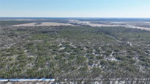 TBD County Road 2242, Bagwell, TX 75412