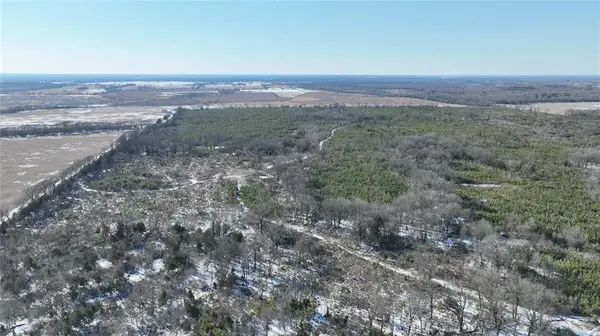 TBD County Rd. 2242 S., Bagwell, TX 75412