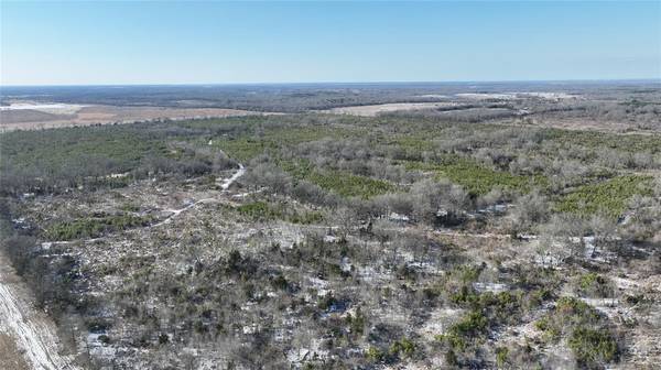 TBD County Rd. 2242 S., Bagwell, TX 75412