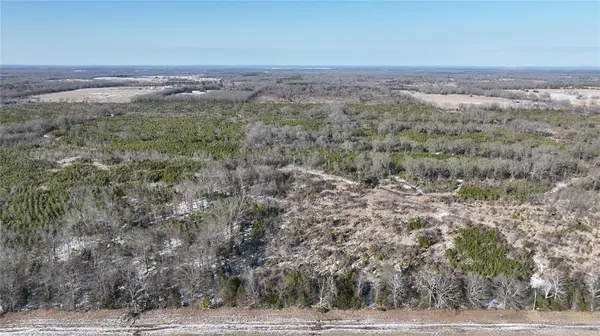 TBD County Rd. 2242 S., Bagwell, TX 75412