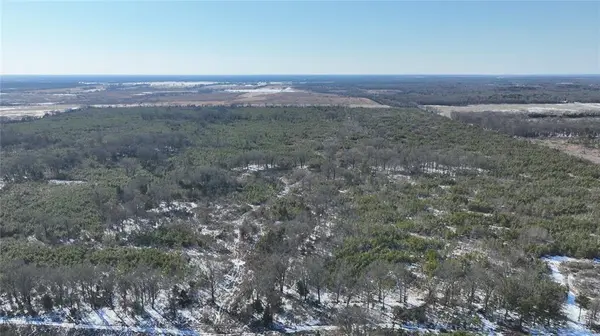 TBD County Road 2242 S., Bagwell, TX 75412