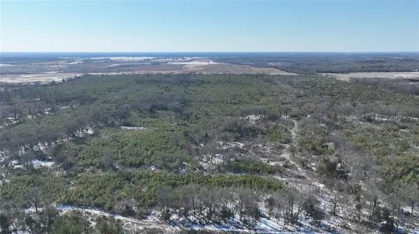 TBD County Road 2242 S., Bagwell, TX 75412