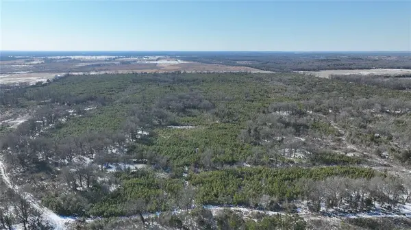 TBD County Road 2242 S., Bagwell, TX 75412