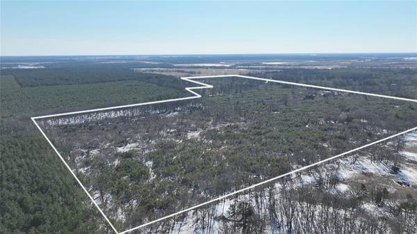 TBD County Rd 2242 S., Bagwell, TX 75412