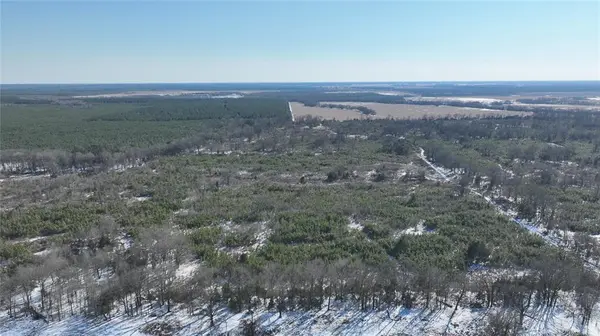 TBD County Rd 2242 S., Bagwell, TX 75412