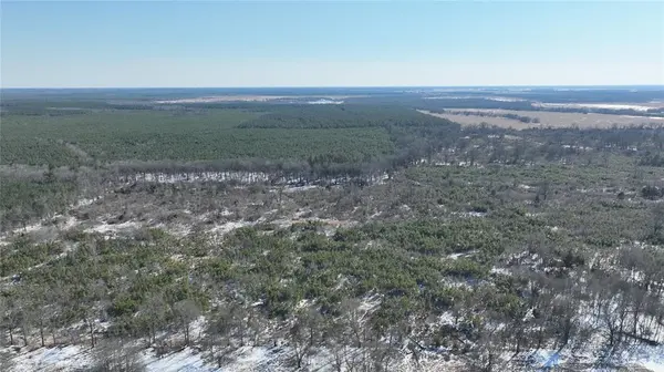 TBD County Rd 2242 S., Bagwell, TX 75412