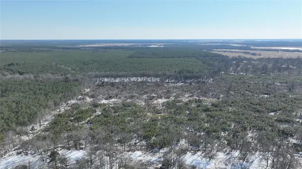 TBD County Rd 2242 S., Bagwell, TX 75412