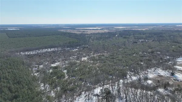 TBD County Rd 2242 S., Bagwell, TX 75412