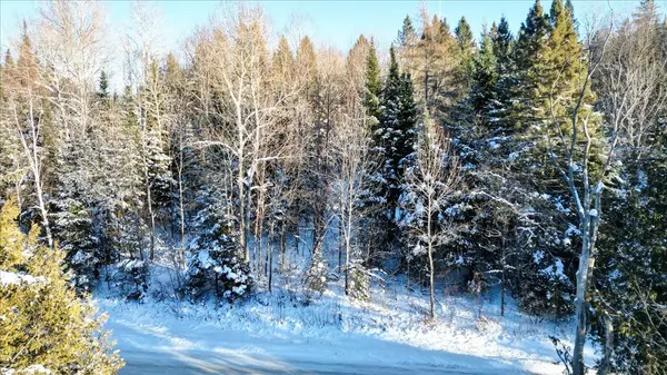 0 Lower Faraday RD, Faraday, ON K0L 1C0