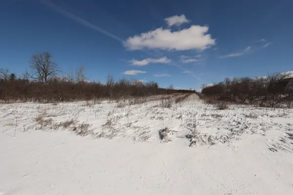Lot 3 Merkley RD, North Dundas, ON K0C 2K0