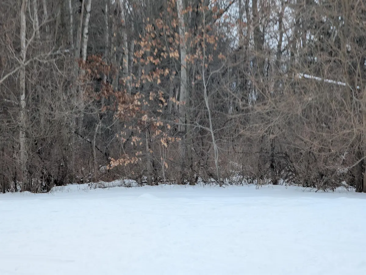 N/A Court ST, Au Gres Twp, MI 48703