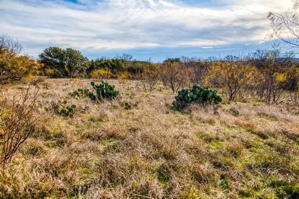 TBD Reevs Road, Graham, TX 76450