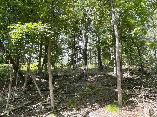 0 S Forest Lake DR, Alger, MI 48610