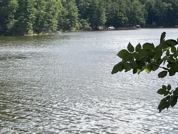 0 S Forest Lake DR, Alger, MI 48610