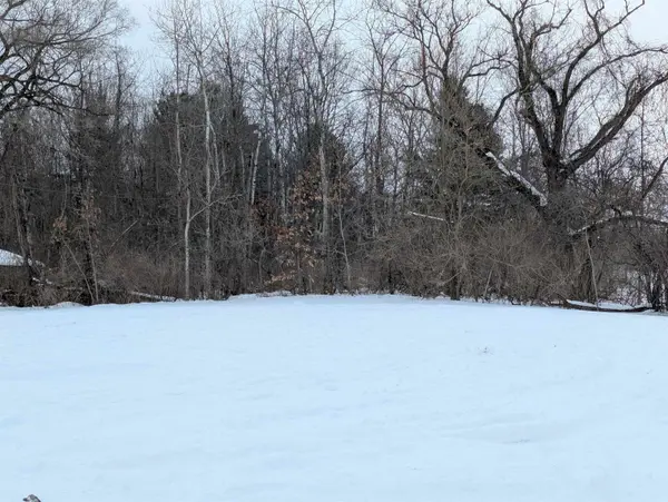 N/A Court ST, Au Gres Twp, MI 48703