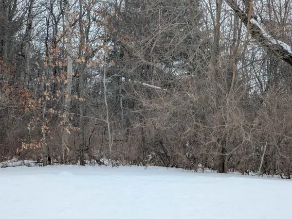 N/A Court ST, Au Gres Twp, MI 48703