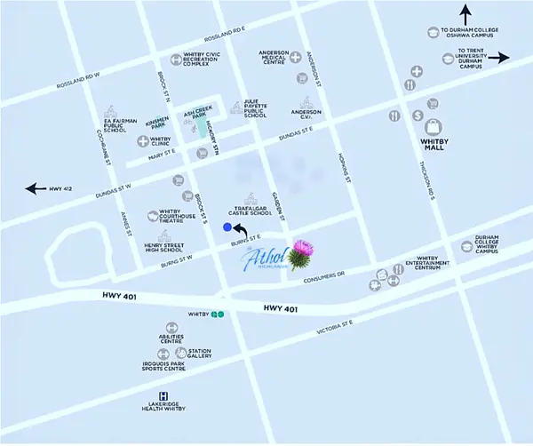 805 Athol ST, Whitby, ON L1N 4A1