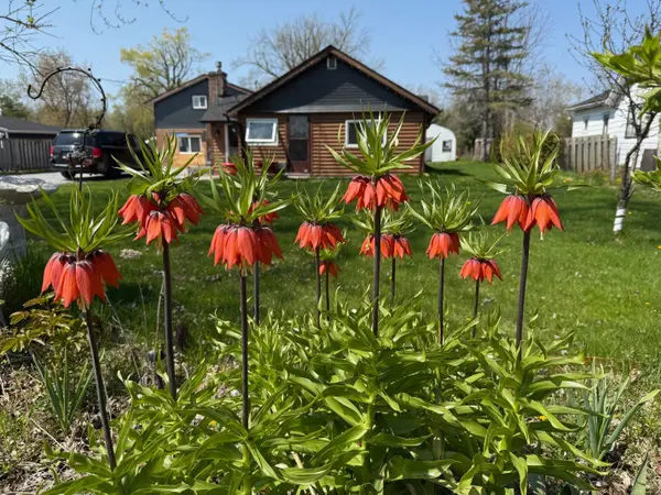 31474 Lakeridge RD, Georgina, ON L0E 1N0