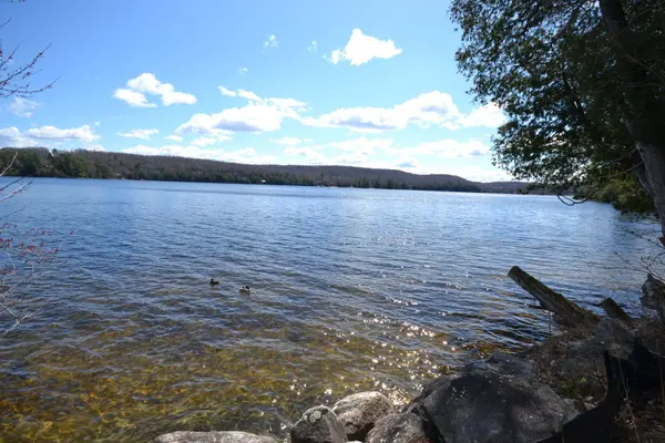 1956 WIGAMOG RD, Dysart Et Al, ON K0M 1S0