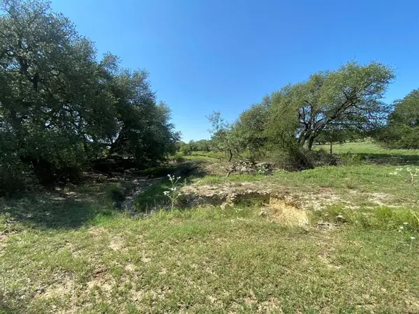 TBD State Highway 16 South S, Goldthwaite, TX 76844