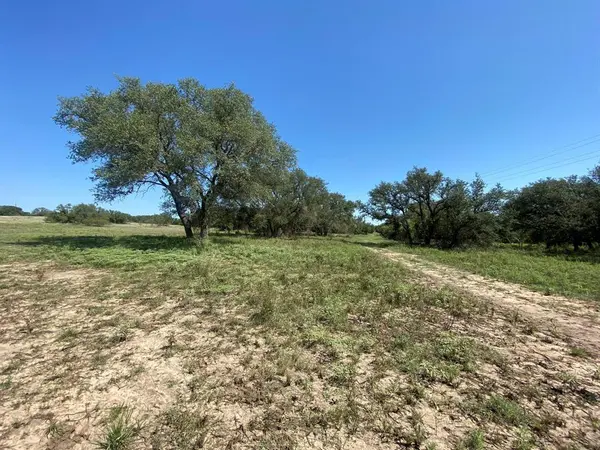 TBD State Highway 16 South S, Goldthwaite, TX 76844