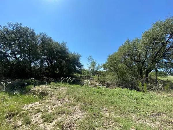 TBD State Highway 16 South S, Goldthwaite, TX 76844