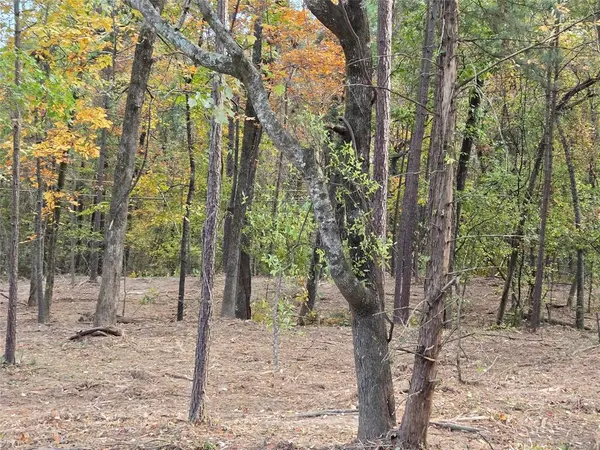 0 LAMBERT Street, Shreveport, LA 71119