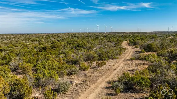 TBD CR 296, Roscoe, TX 79545