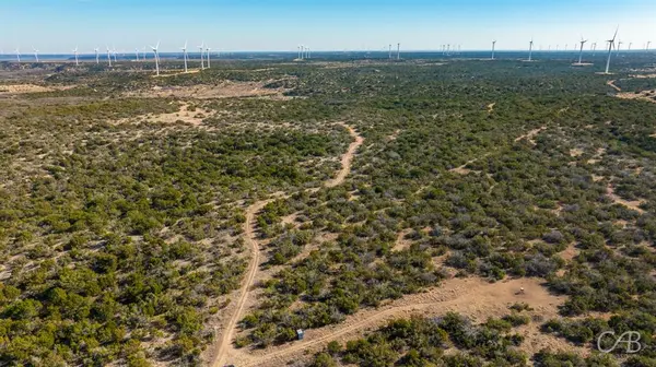 TBD CR 296, Roscoe, TX 79545