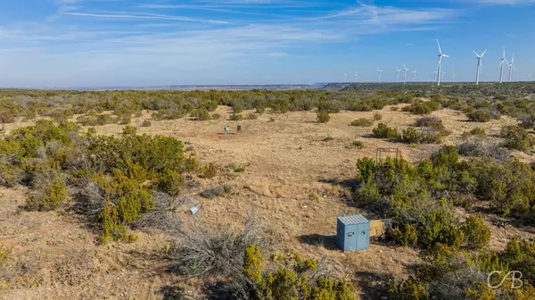 TBD CR 296, Roscoe, TX 79545