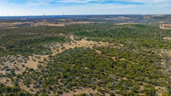 TBD CR 296, Roscoe, TX 79545