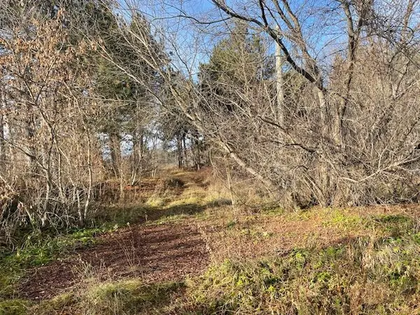 3678 McCarthy DR, Clearview, ON L0M 1N0