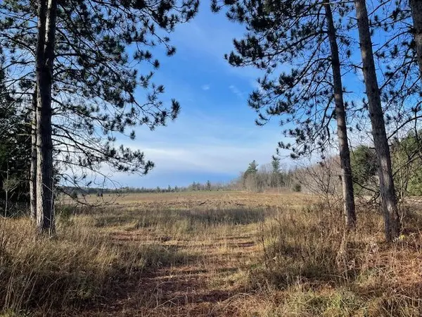 3678 McCarthy DR, Clearview, ON L0M 1N0