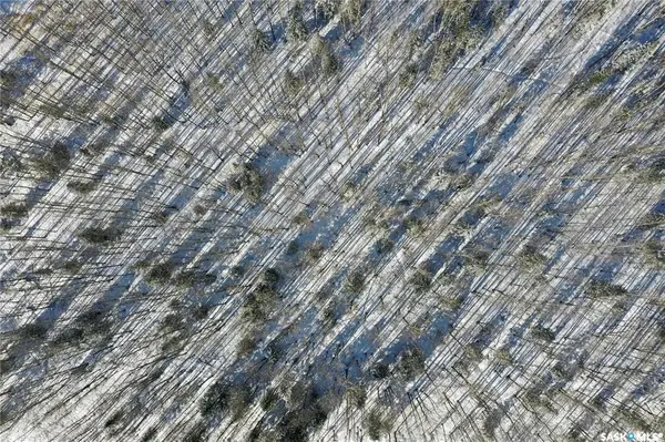 102 Aspen WAY, Candle Lake, SK S0J 3E0