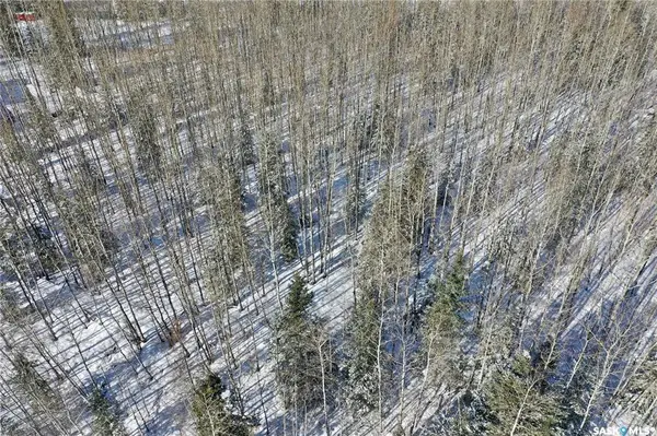 102 Aspen WAY, Candle Lake, SK S0J 3E0