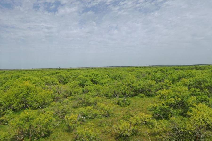 TBD FM 2321-TRACT 1, Bellevue, TX 76228