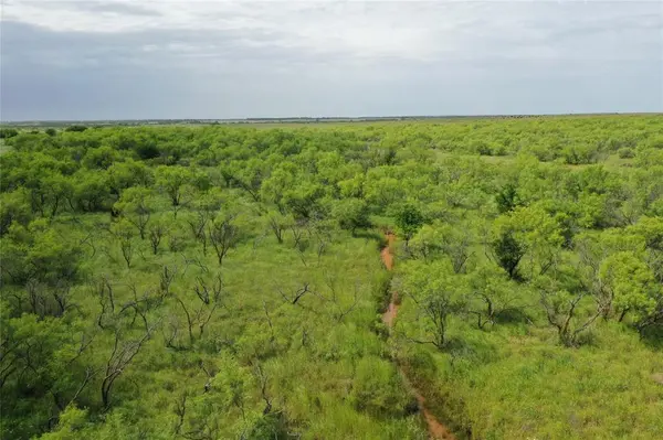 TBD FM 2321-TRACT 1, Bellevue, TX 76228