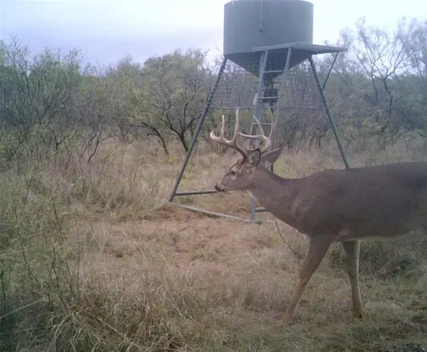 TBD FM 2321-TRACT 1, Bellevue, TX 76228