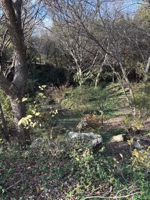 2009 Valley View Drive, Cedar Hill, TX 75104