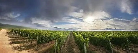 44-55 Niagara Stone RD N, Niagara-on-the-lake, ON L0S 1J0