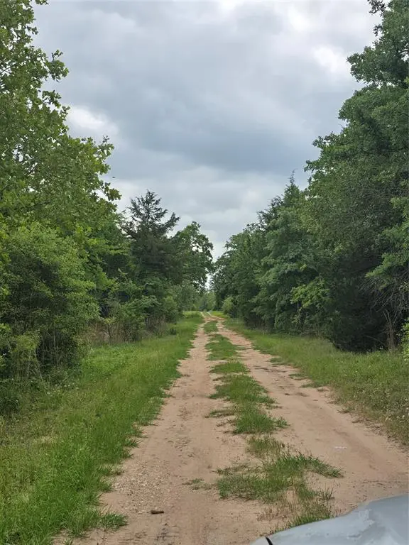 555 Private Road 3428, Milano, TX 76558