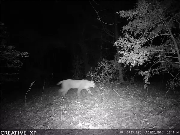 555 Private Road 3428, Milano, TX 76558